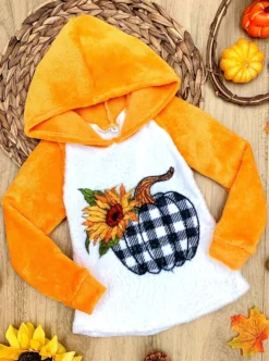 Plush Pumpkin Raglan Hoodie -Kid's Apparel Sales AUG20CPOUT5OPP scaled